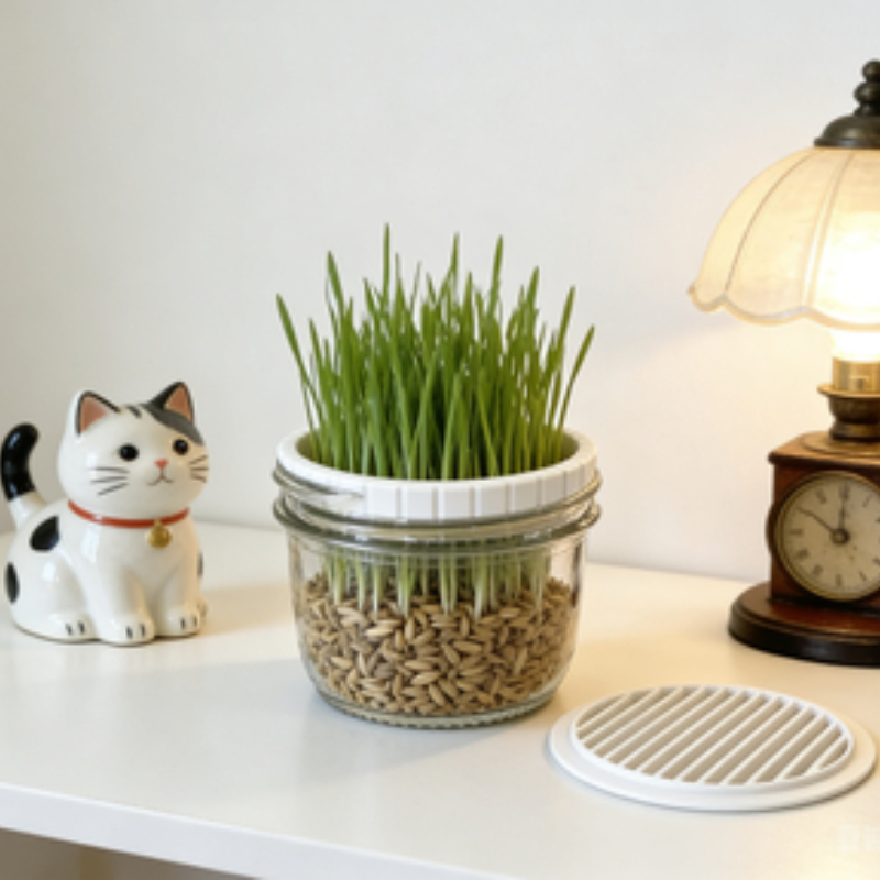 Minimalist White Cat Grass Gro - đánh giá và giá Net Pot 3 Inch