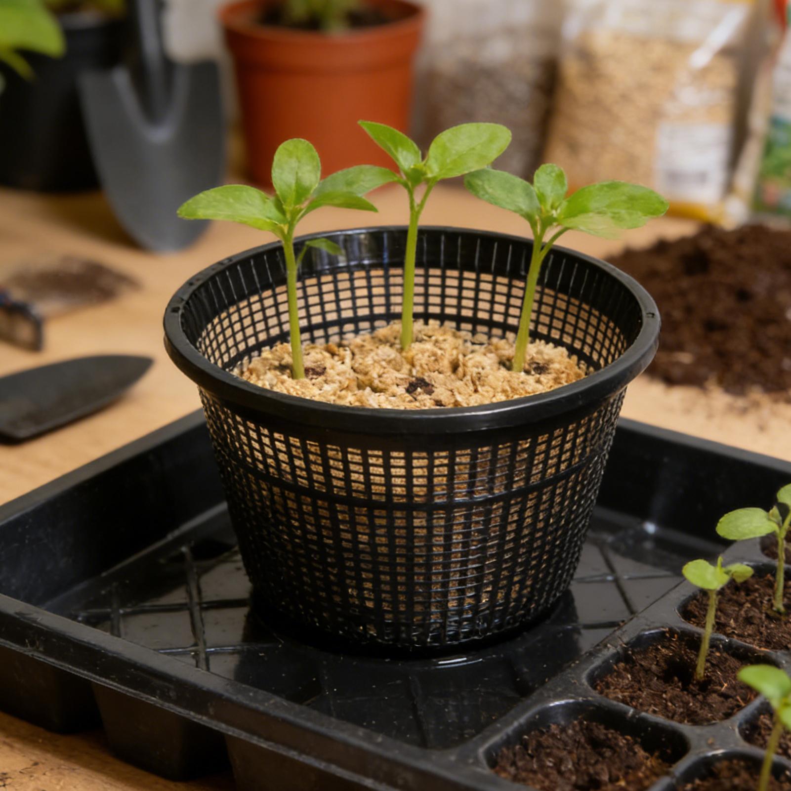 Net Pots 8.5 inch Reusable Wea - đánh giá và giá Net Pot 3 Inch