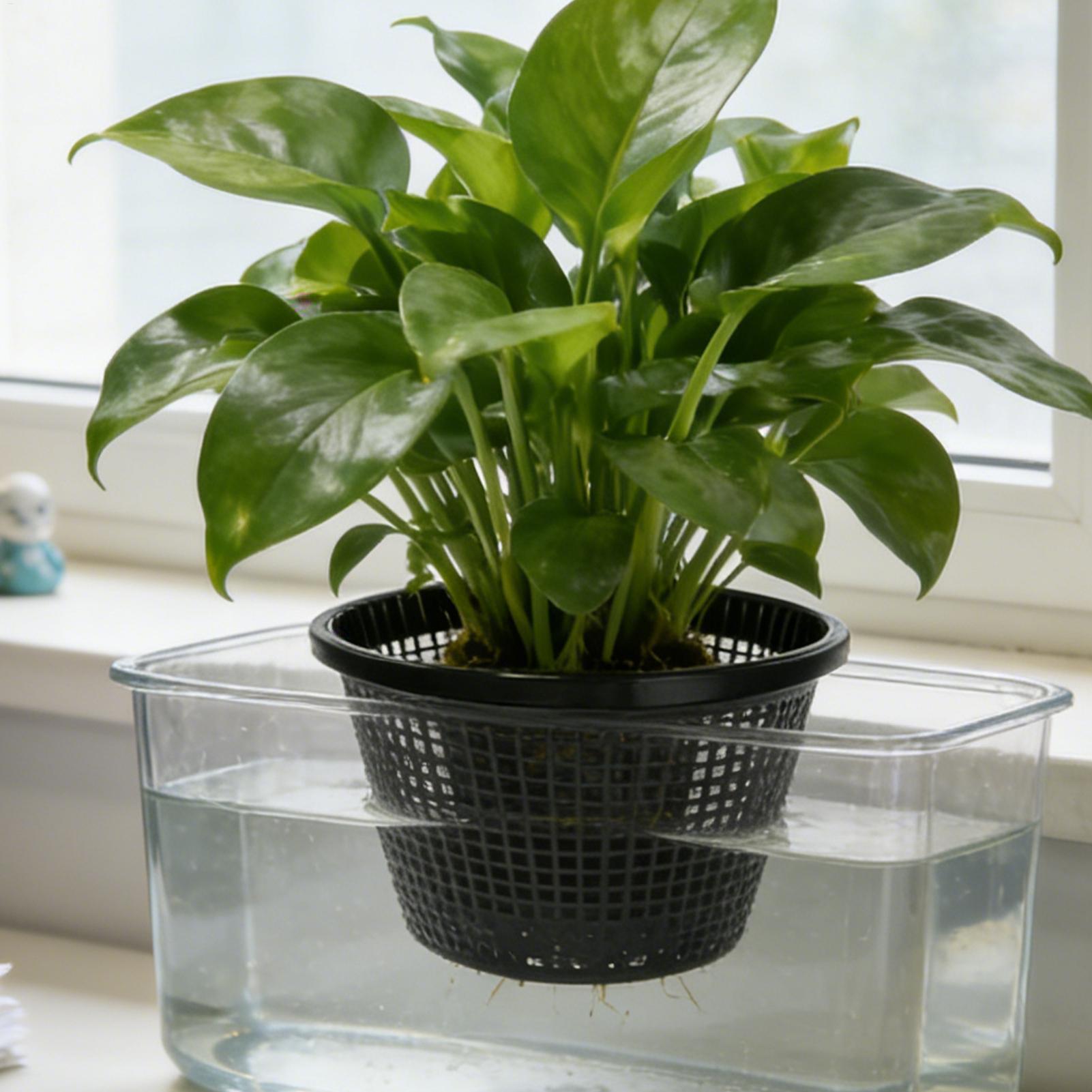 Net Pots 8.5 inch Reusable Wea - đánh giá và giá Net Pot 3 Inch