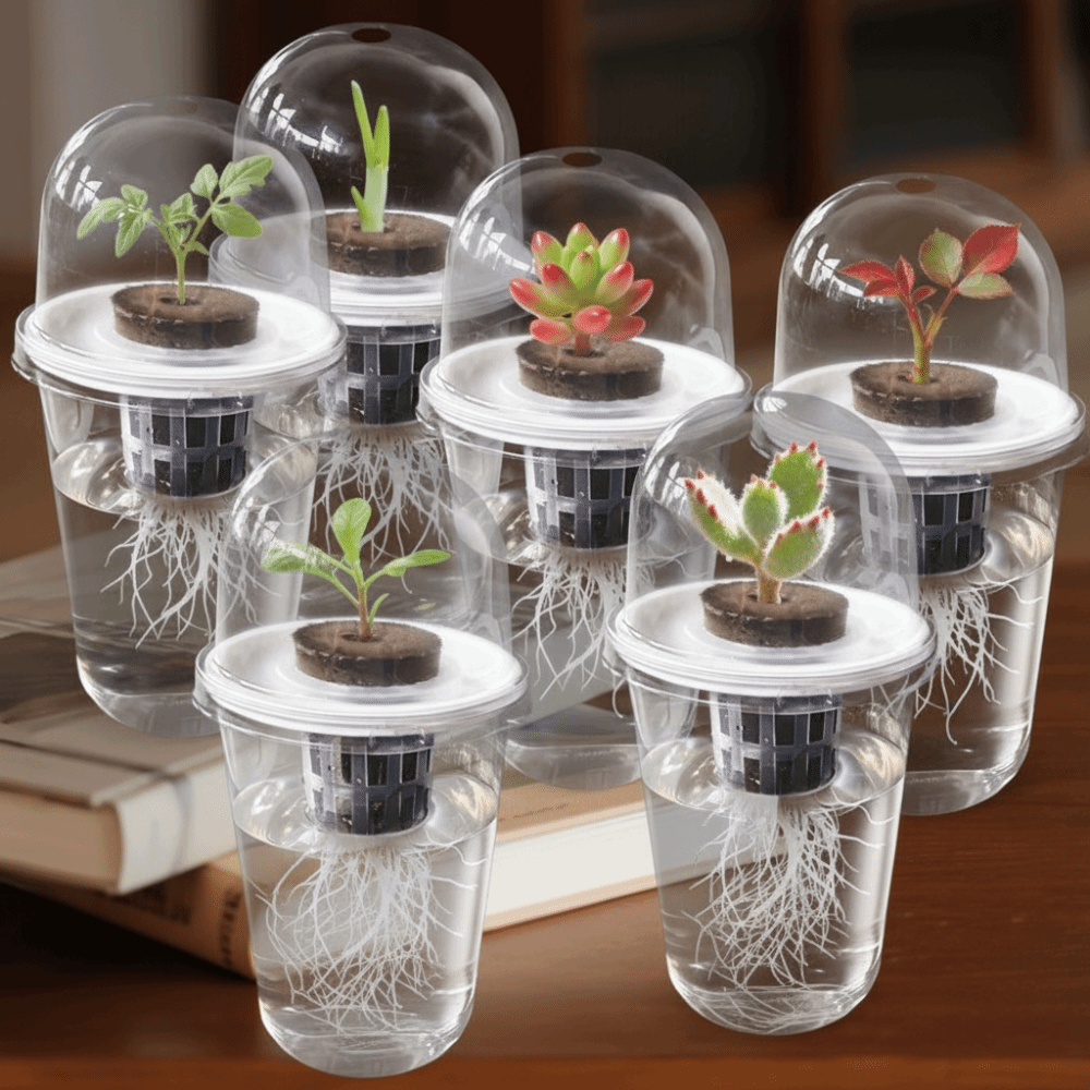 1-5pc Visible Clear Plants Ger - đánh giá và giá Net Pot 3 Inch