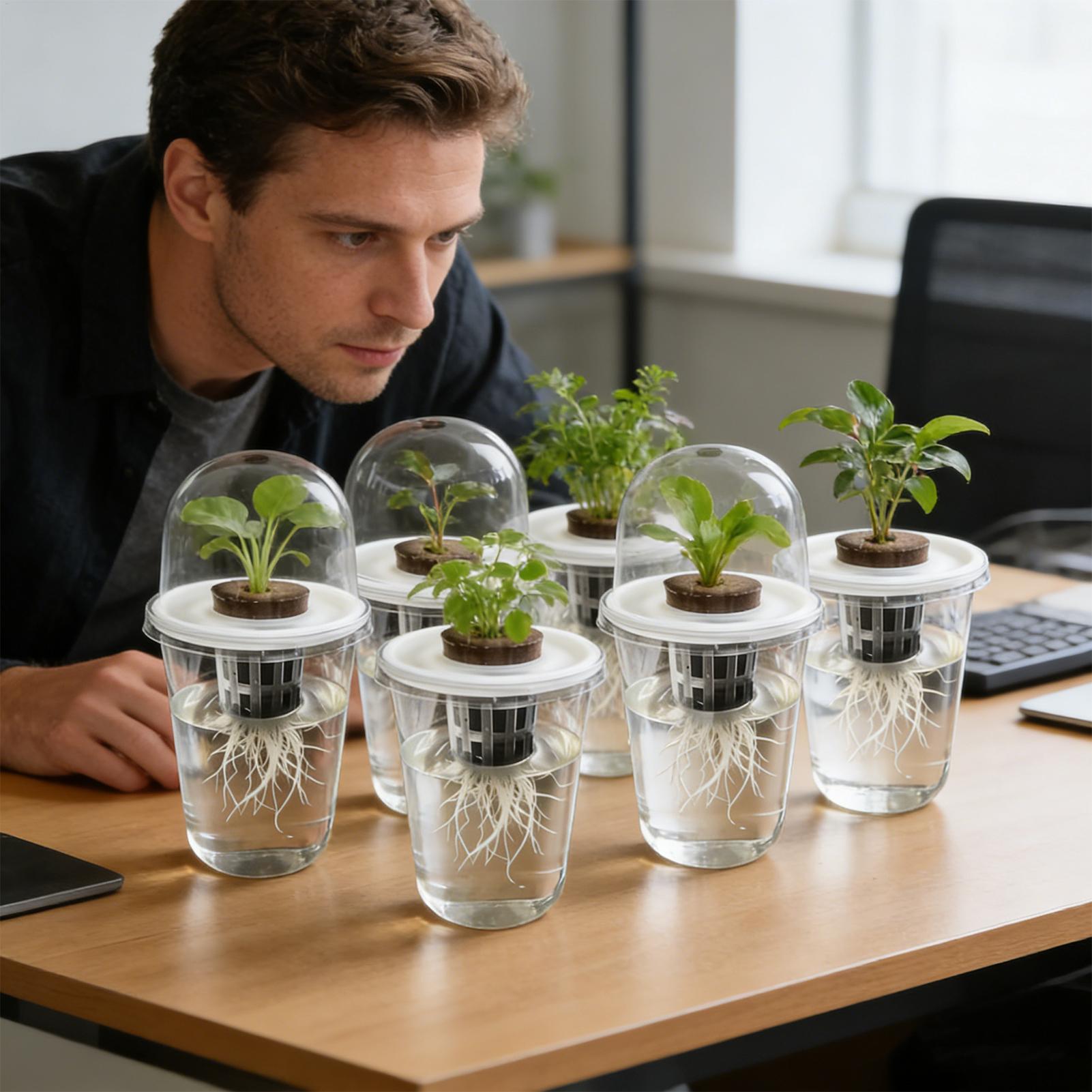 1-5pc Visible Clear Plants Ger - đánh giá và giá Net Pot 3 Inch
