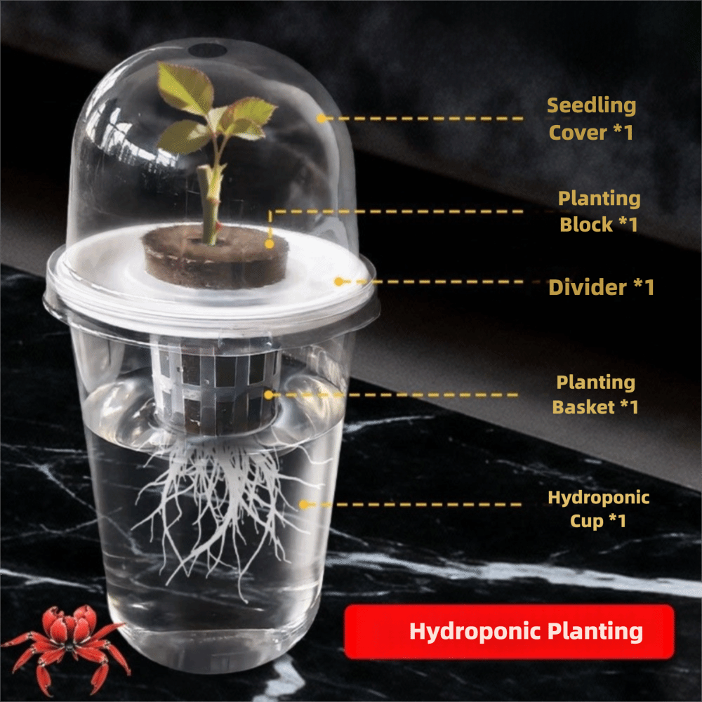 1-5pc Visible Clear Plants Ger - đánh giá và giá Net Pot 3 Inch