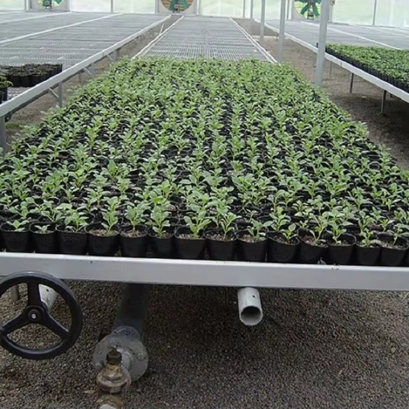 Movable Propagation Flood and  - đánh giá và giá Flood Tray Table