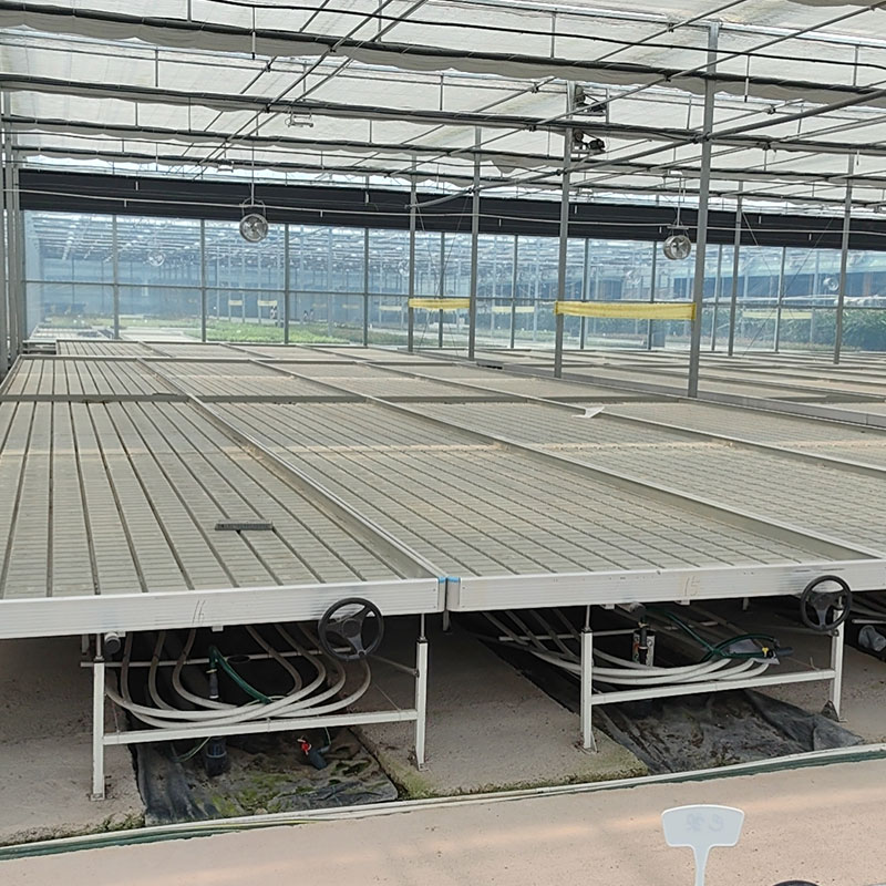 Hydroponics Greenhouse 6X8 Flo - đánh giá và giá Flood Tray Table