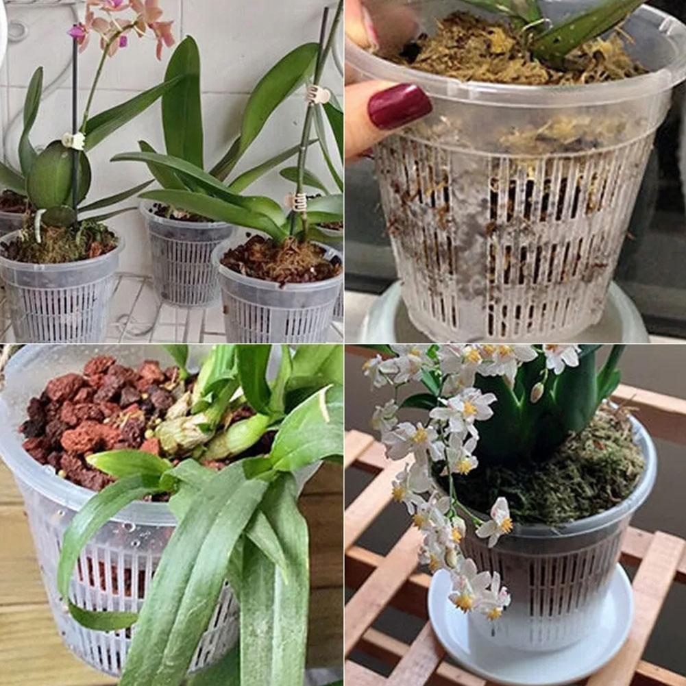 11/14/16/19cm Mesh Pot Root Co - đánh giá và giá Net Pot 3 Inch