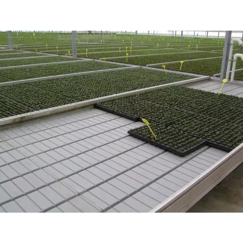Greenhouse Benches Flood Grow  - đánh giá và giá Flood Tray Table