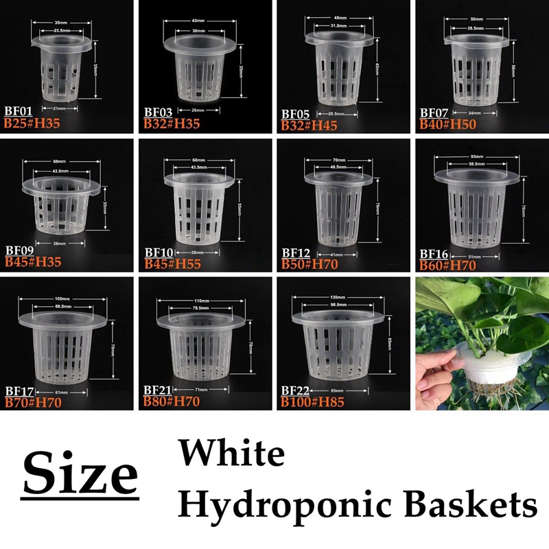 10Pcs White Hydroponic Soilles - đánh giá và giá Net Pot 3 Inch